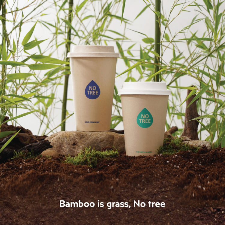 Plant-Based Bamboo Cups