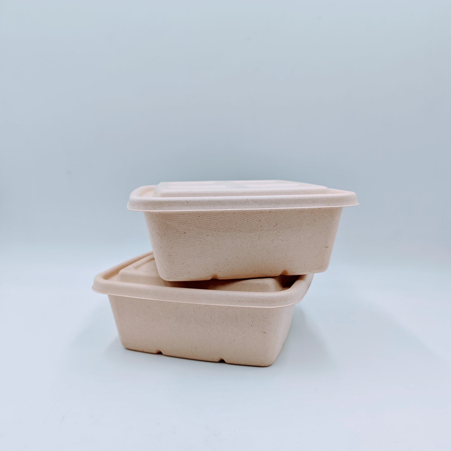 Mega Container with Lid - GreenPackers