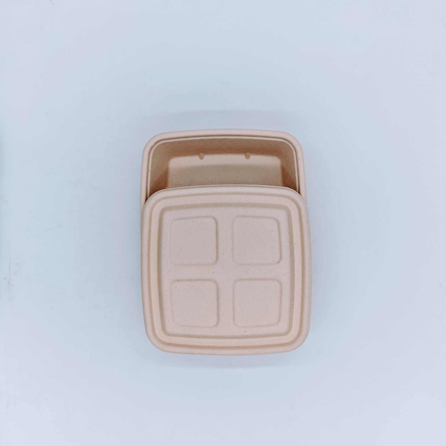 Mega Container with Lid - GreenPackers