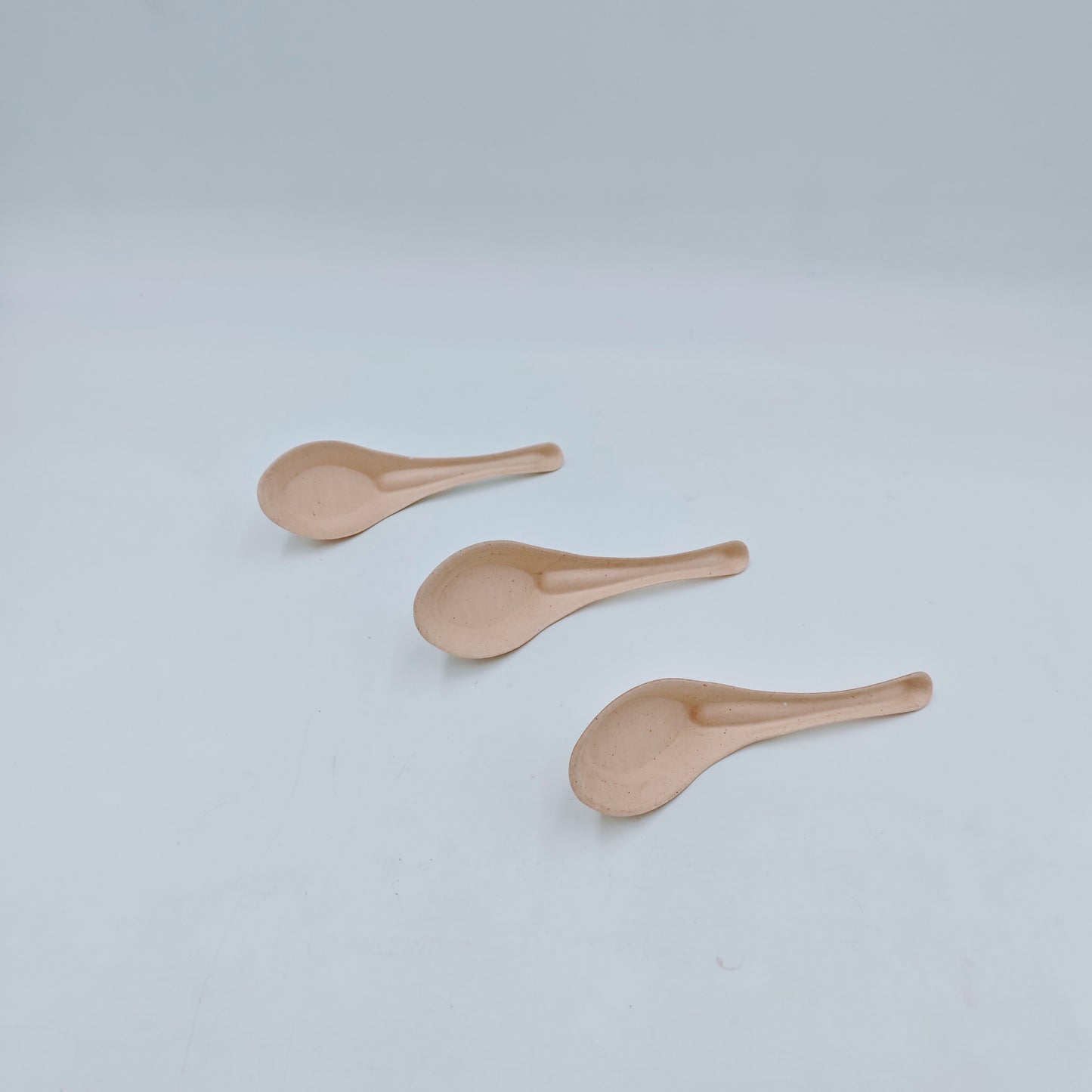 Cutlery Asian Spoon - GreenPackers