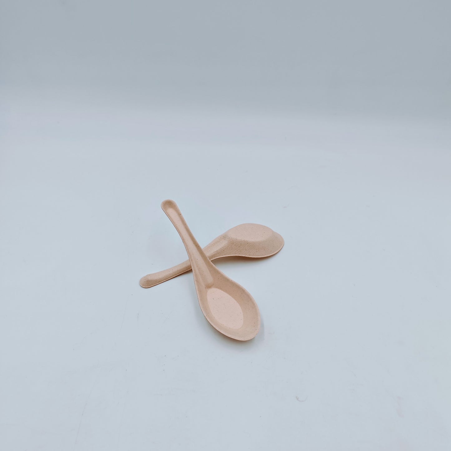 Cutlery Asian Spoon - GreenPackers