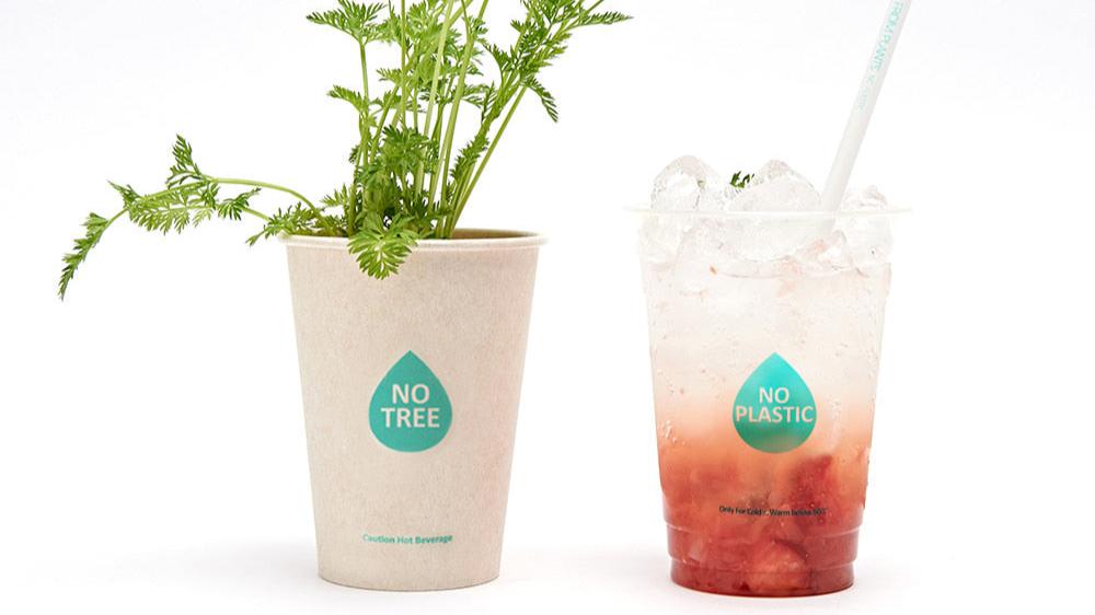 PLA Transparent Cold Cup 16oz - GreenPackers
