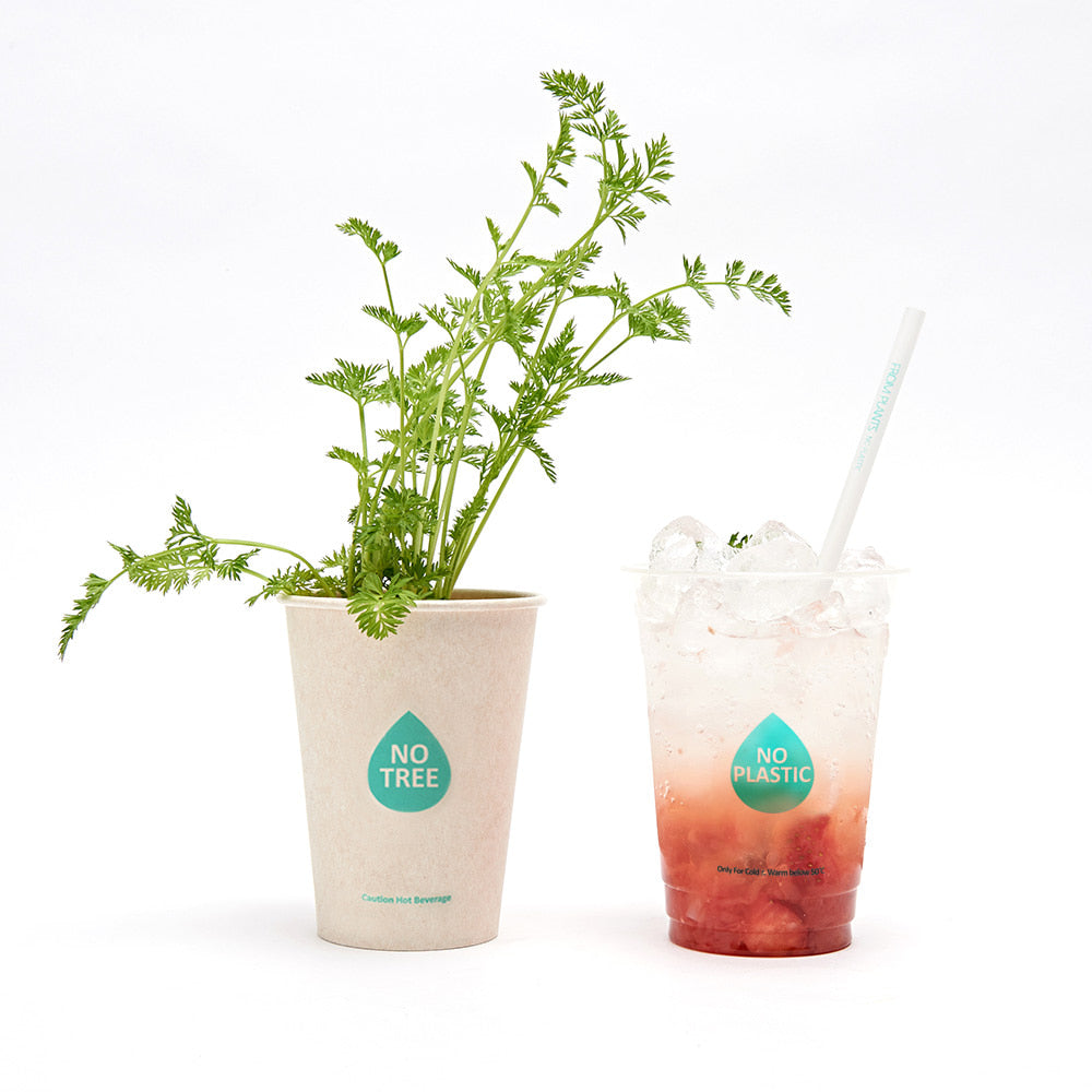 PLA Transparent Cold Cup 14oz - GreenPackers