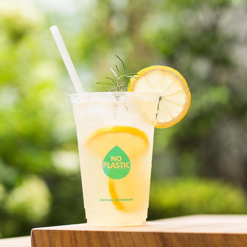 PLA Transparent Cold Cup 14oz - GreenPackers