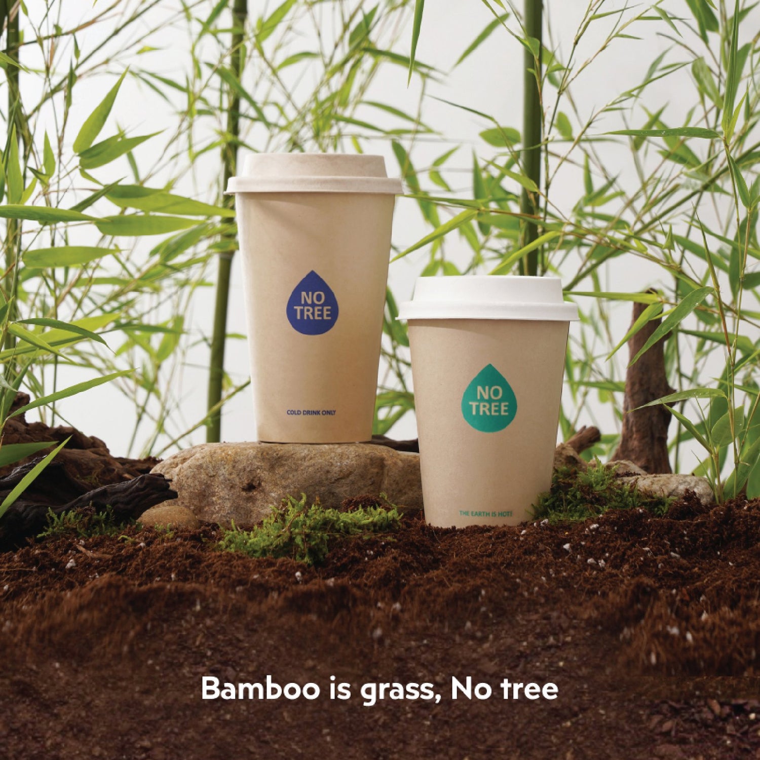 Plant-Based Disposable Cups