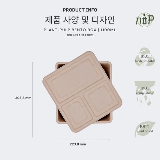 3 Compartment Bento Box with Lid - GreenPackers
