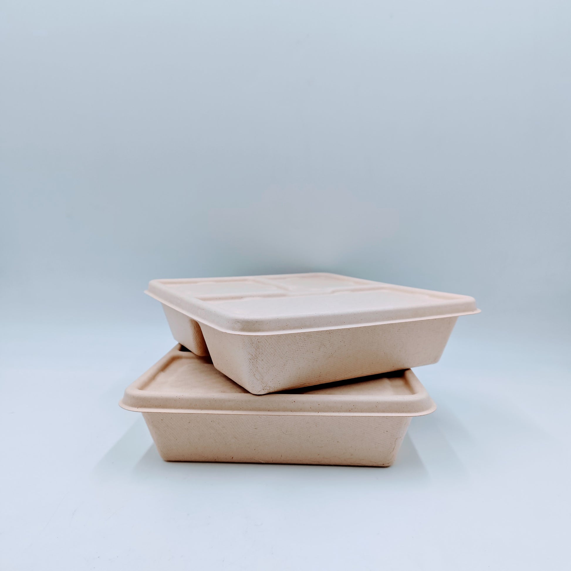 3 Compartment Bento Box with Lid - GreenPackers