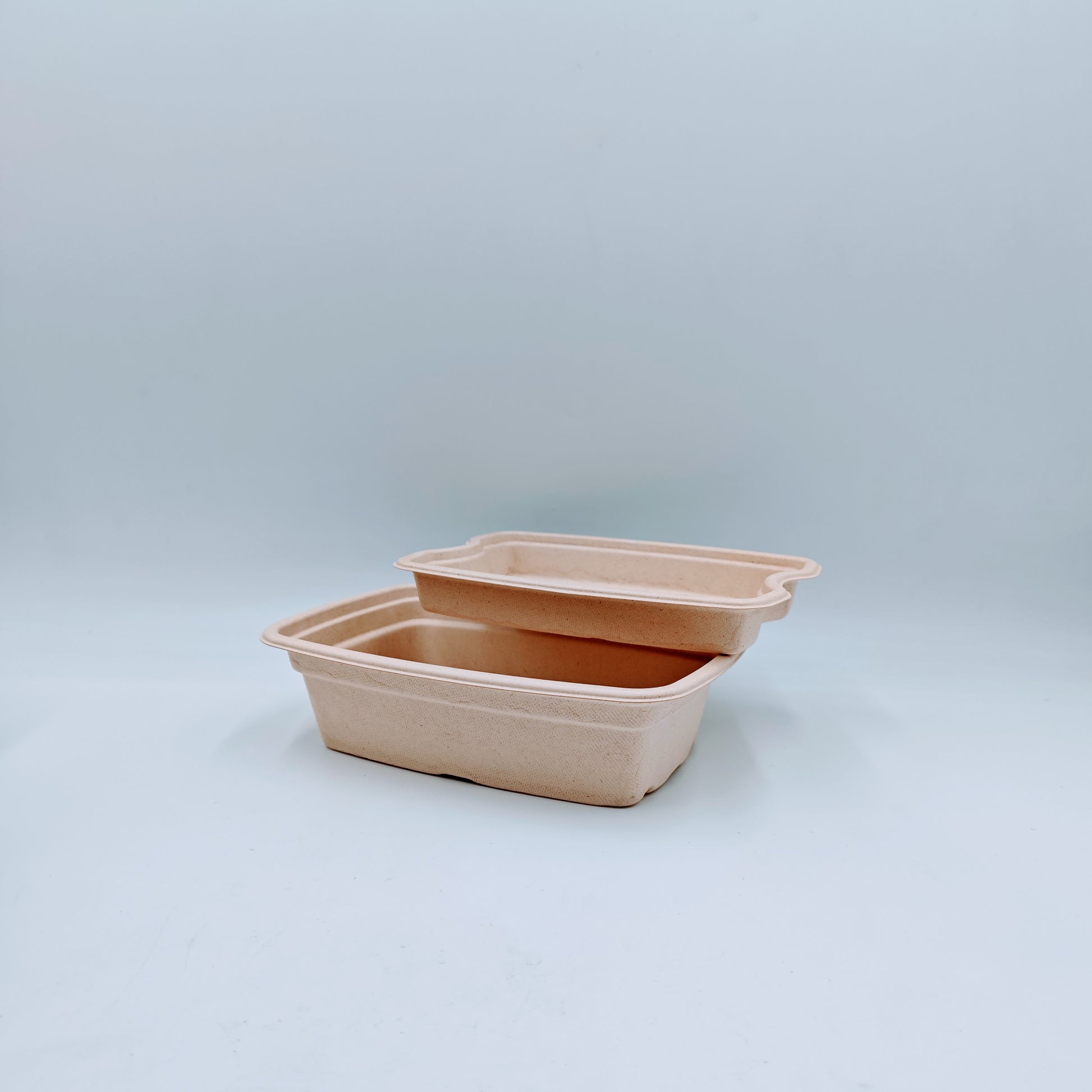 Double-layer Container with Lid and Inner Tray - GreenPackers
