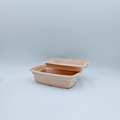 Double-layer Container with Lid and Inner Tray - GreenPackers