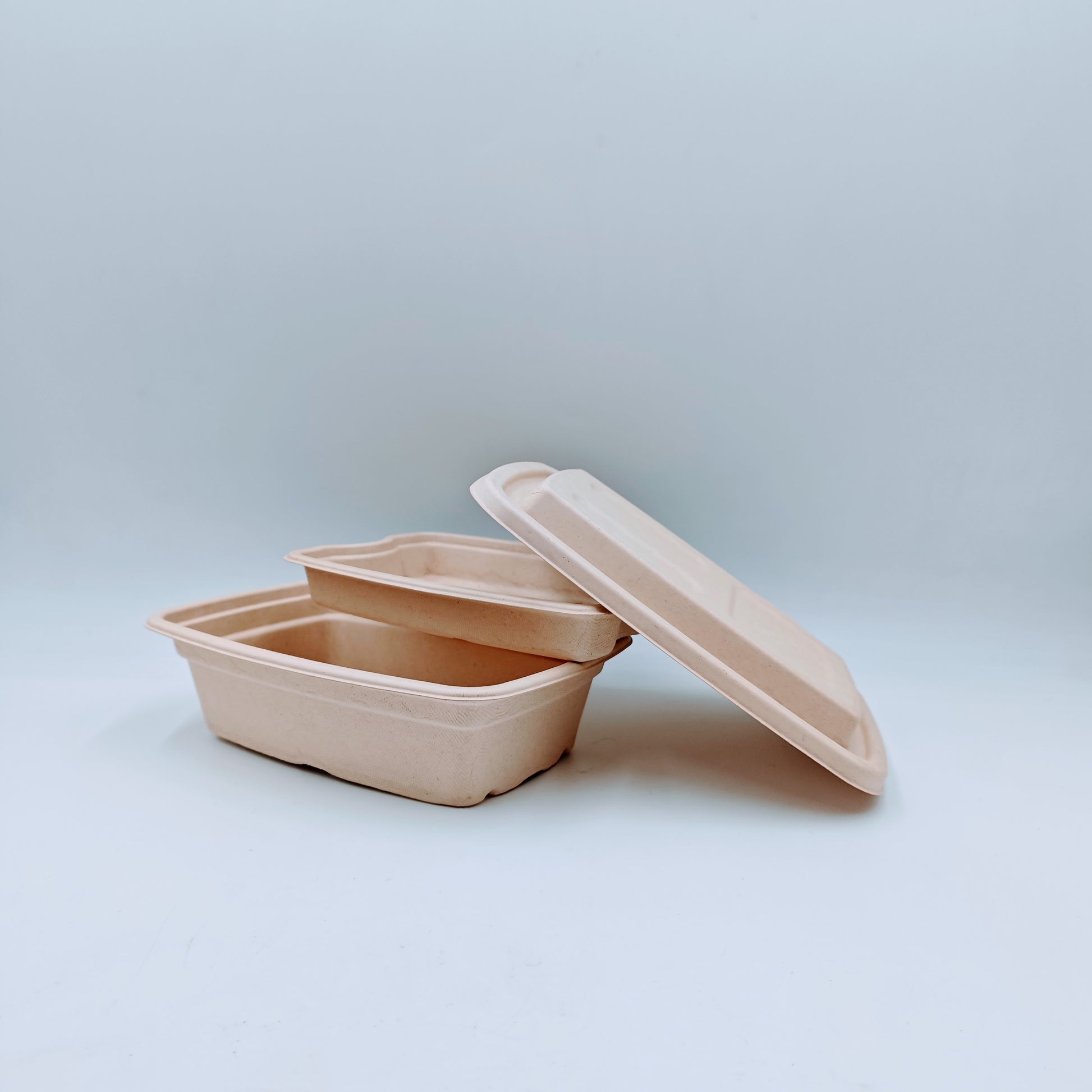 Double-layer Container with Lid and Inner Tray - GreenPackers