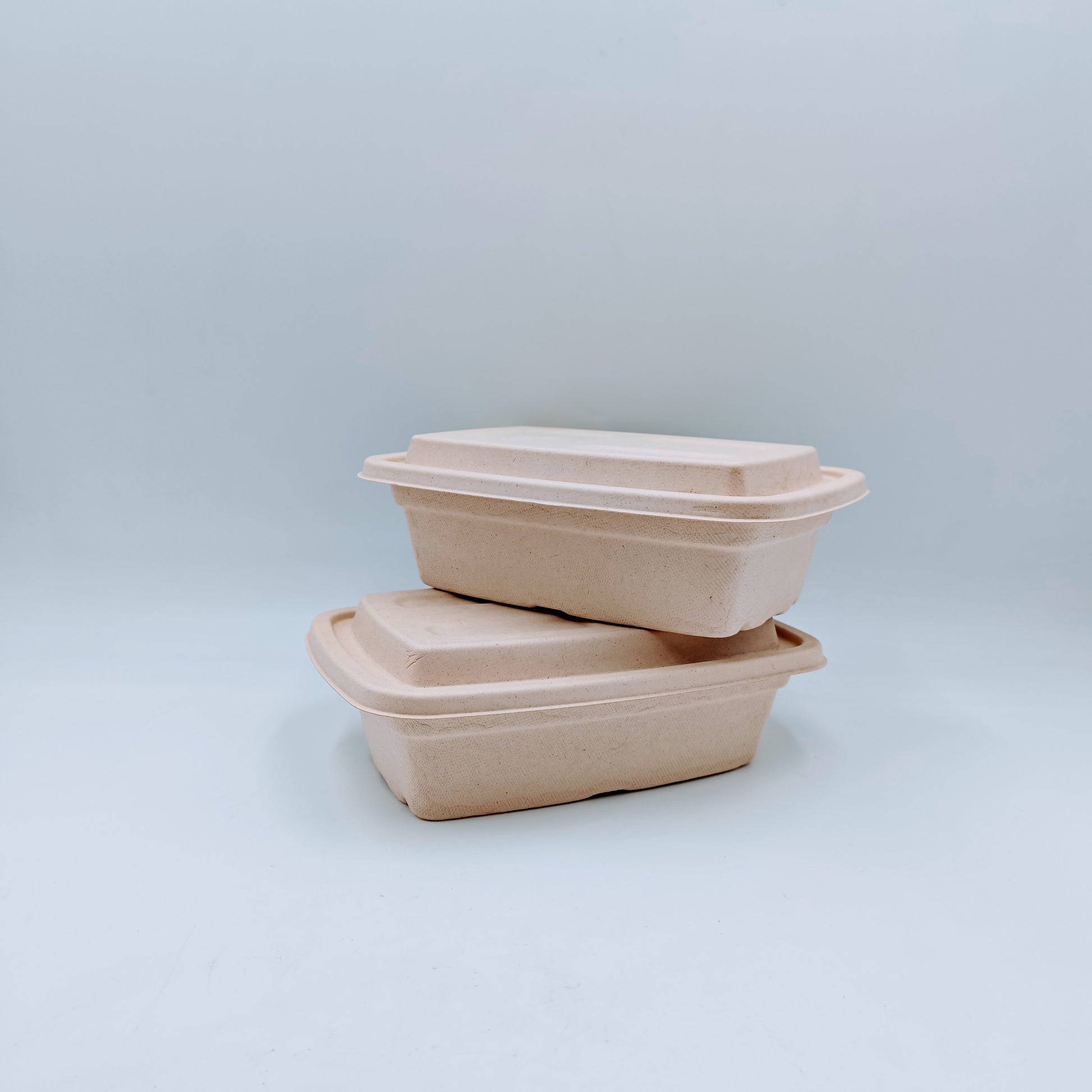 Double-layer Container with Lid and Inner Tray - GreenPackers