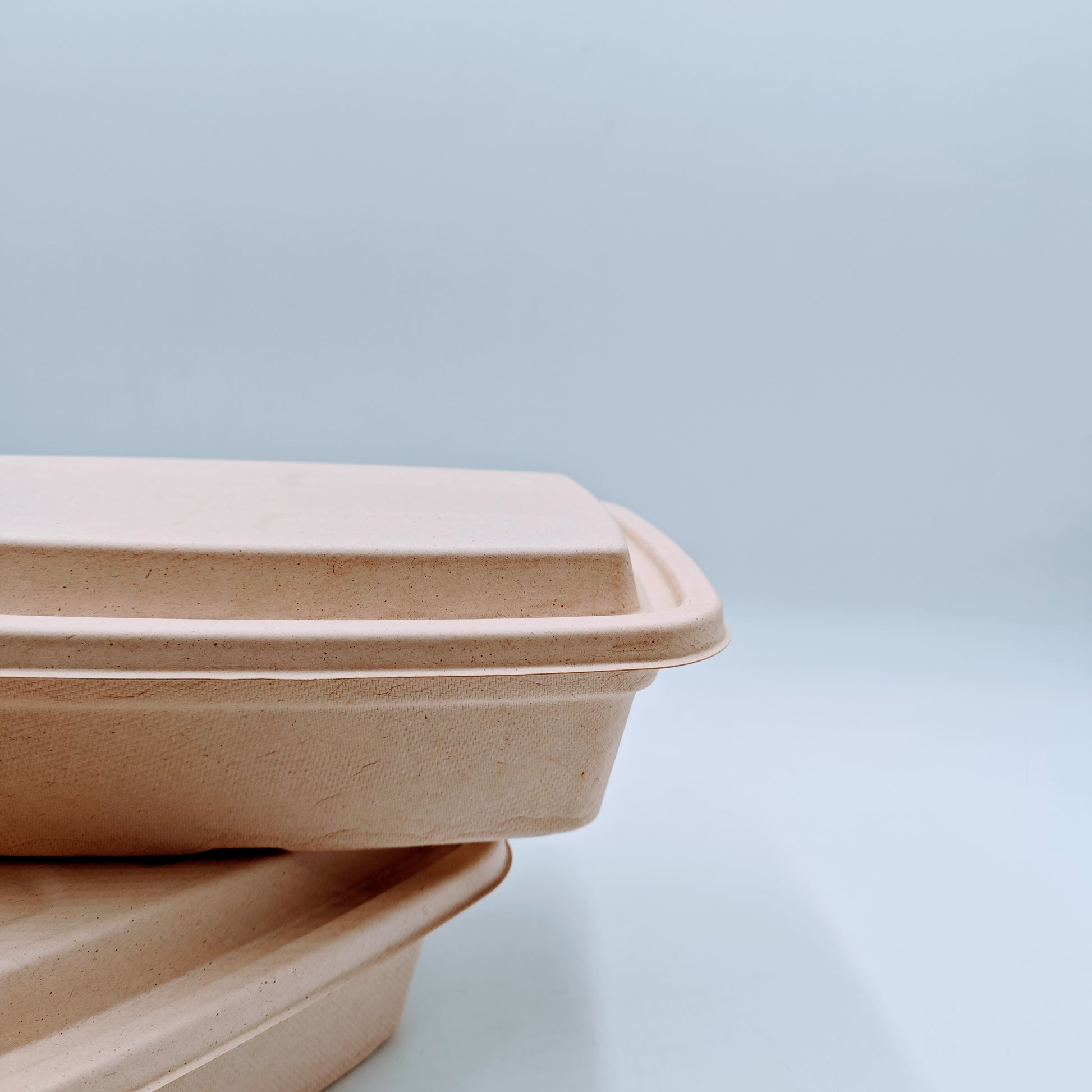 Double-layer Container with Lid and Inner Tray - GreenPackers