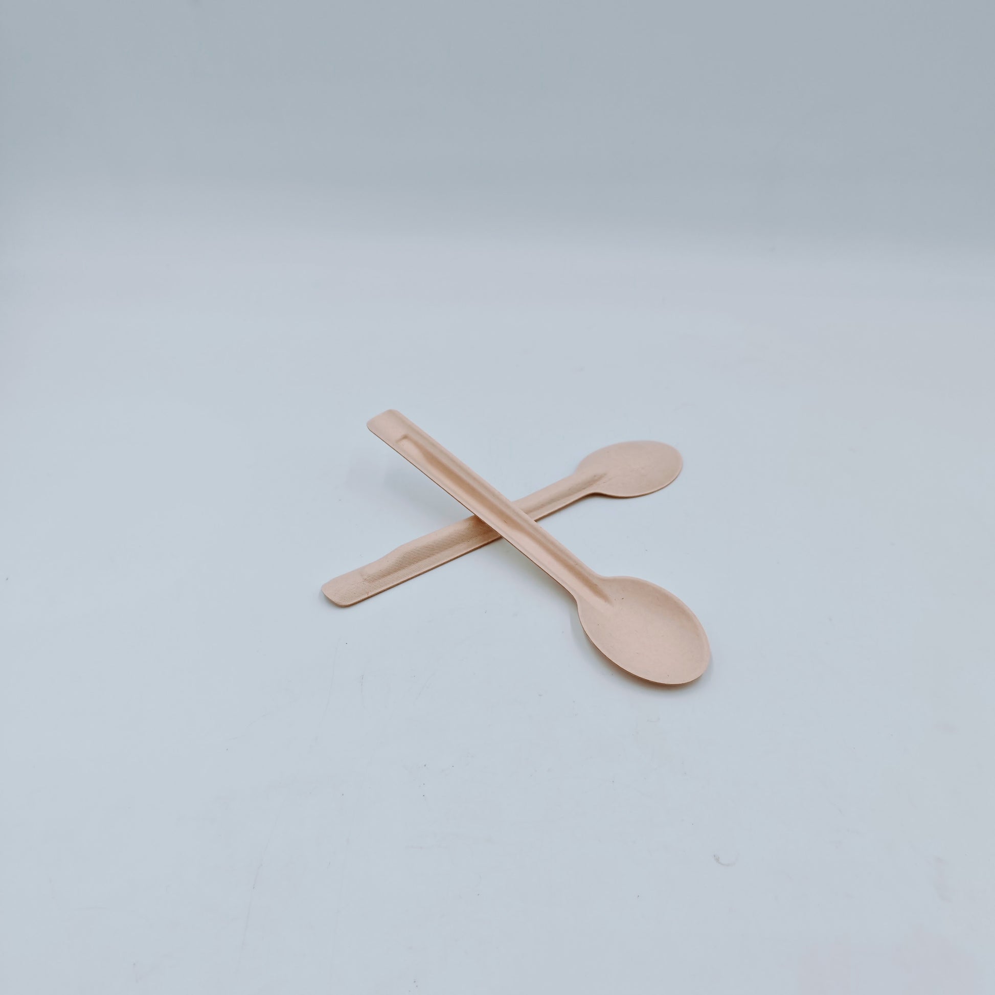 Cutlery Spoon - GreenPackers