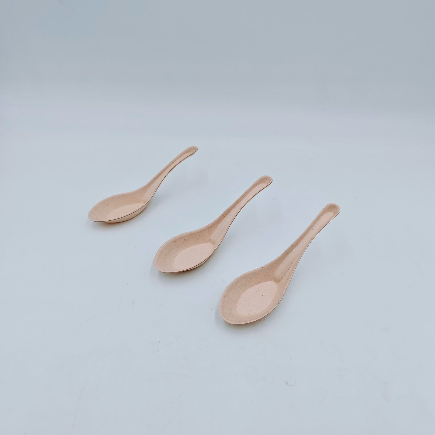 Cutlery Asian Spoon - GreenPackers