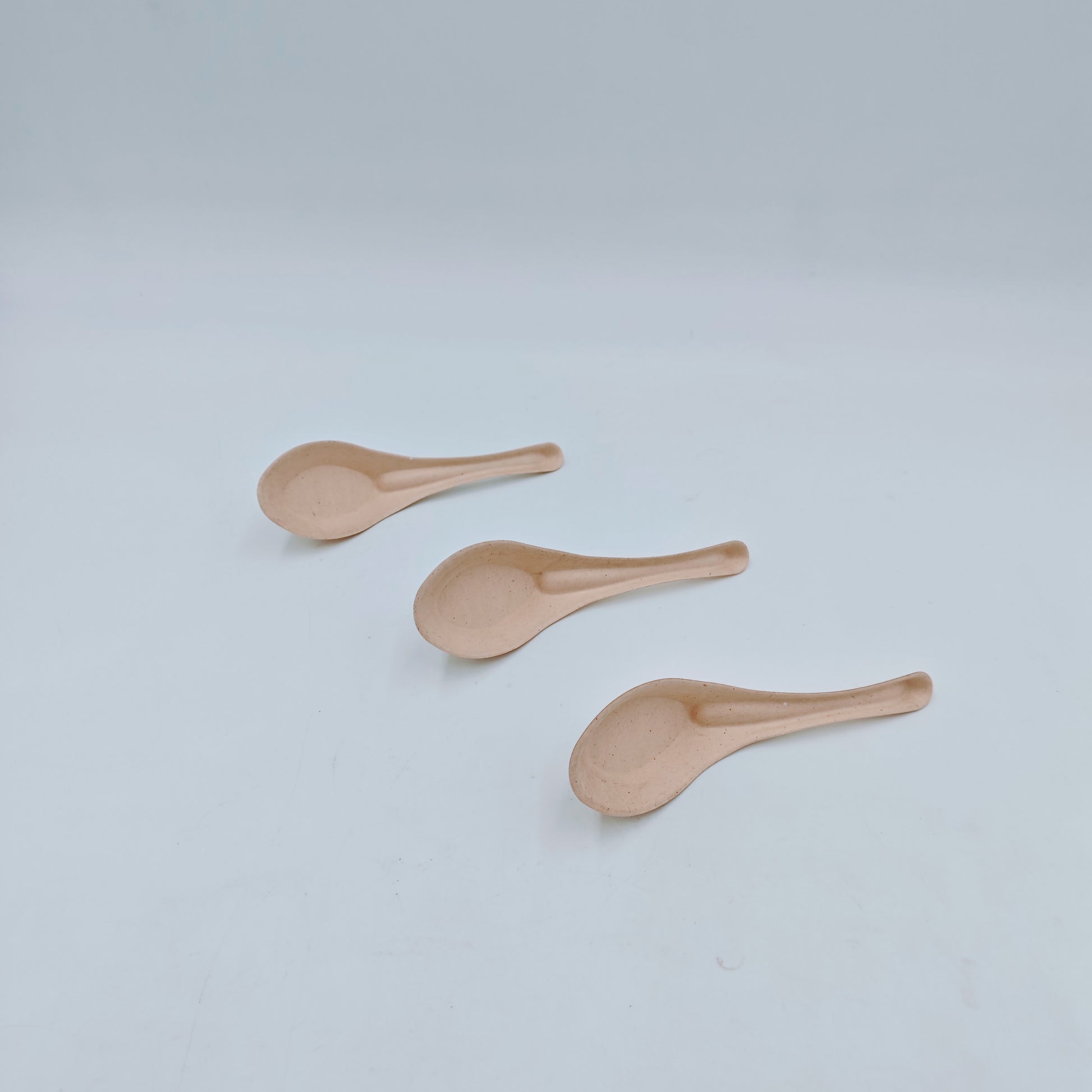 Cutlery Asian Spoon - GreenPackers