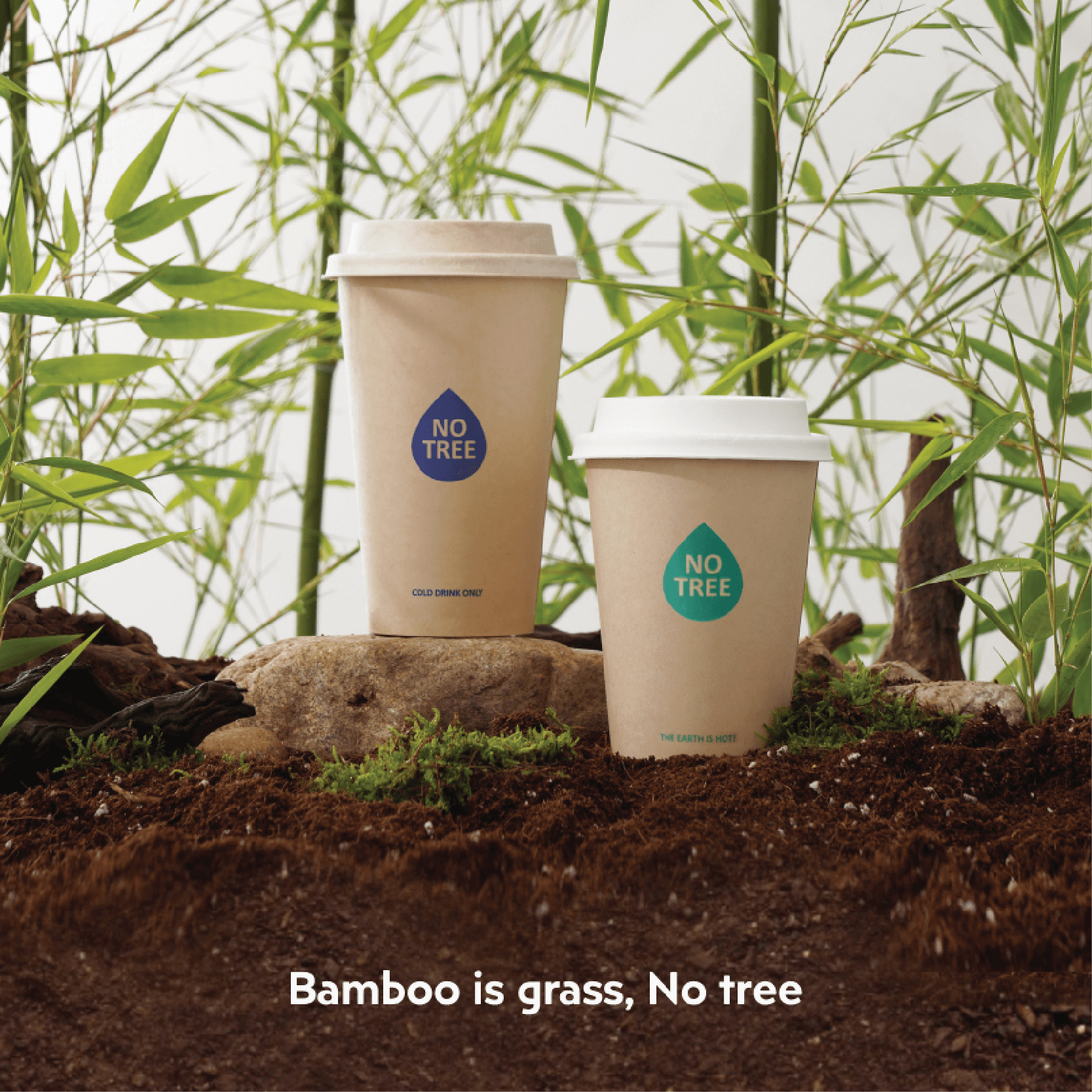 Bamboo Cup 16oz - Cold Cup - GreenPackers