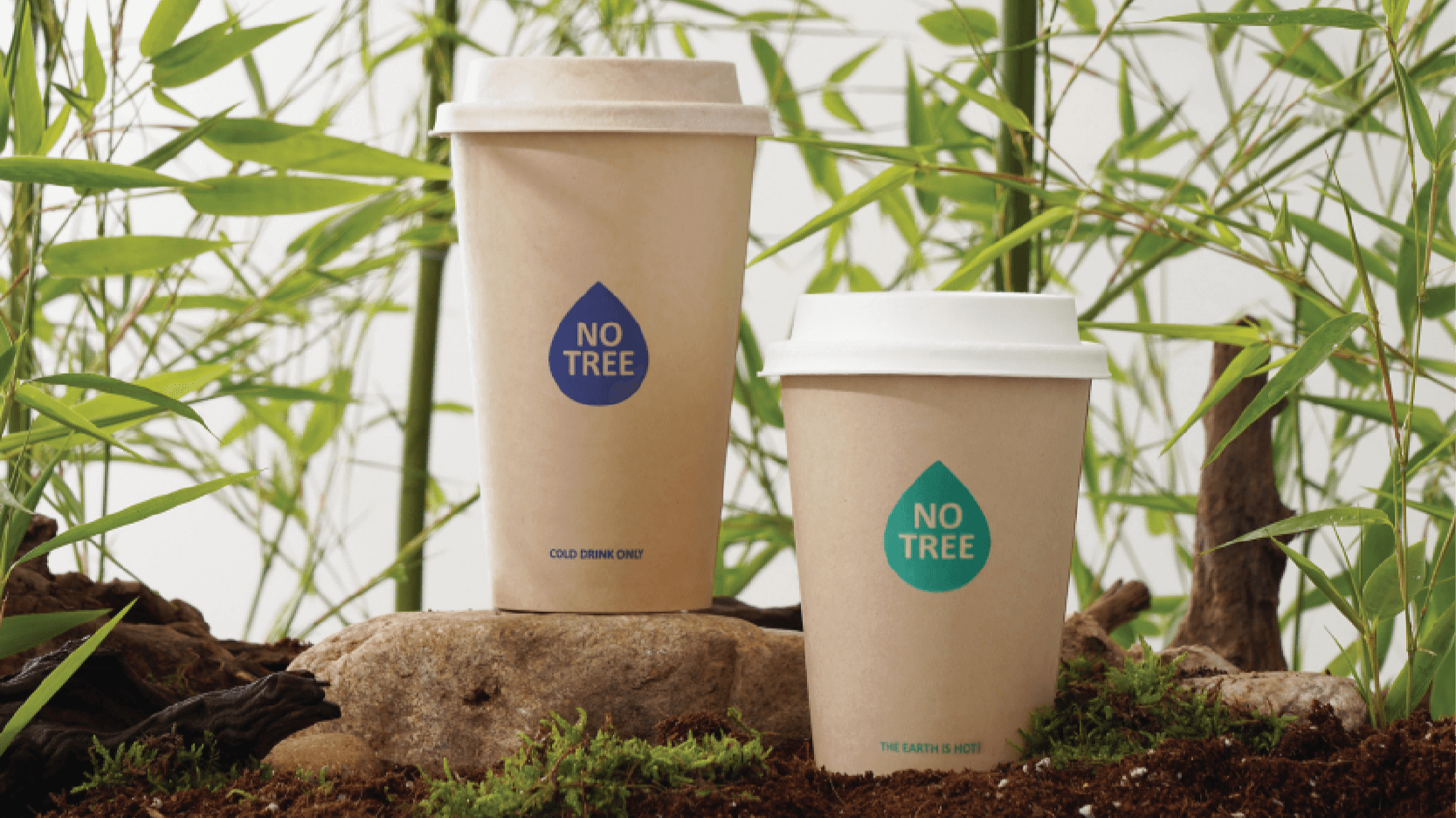 Bamboo Cup 10oz - GreenPackers